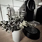 Apartment Le Cocon Blanc -t2 Cosy Avec Parking Prive & Balcon - Gare, Nouvelle *