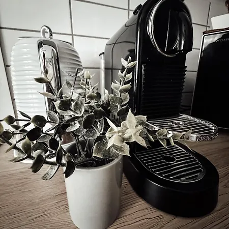 דירה Le Cocon Blanc -t2 Cosy Avec Parking Prive & Balcon - Gare, Nouvelle *