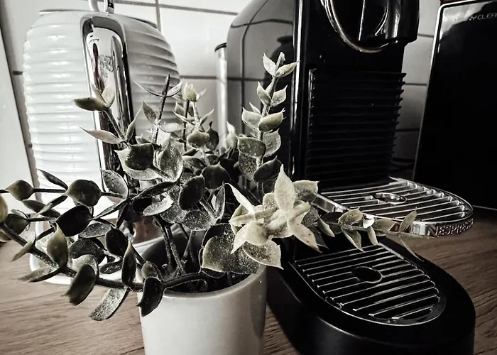 아파트 Le Cocon Blanc -t2 Cosy Avec Parking Prive & Balcon - Gare, Nouvelle *